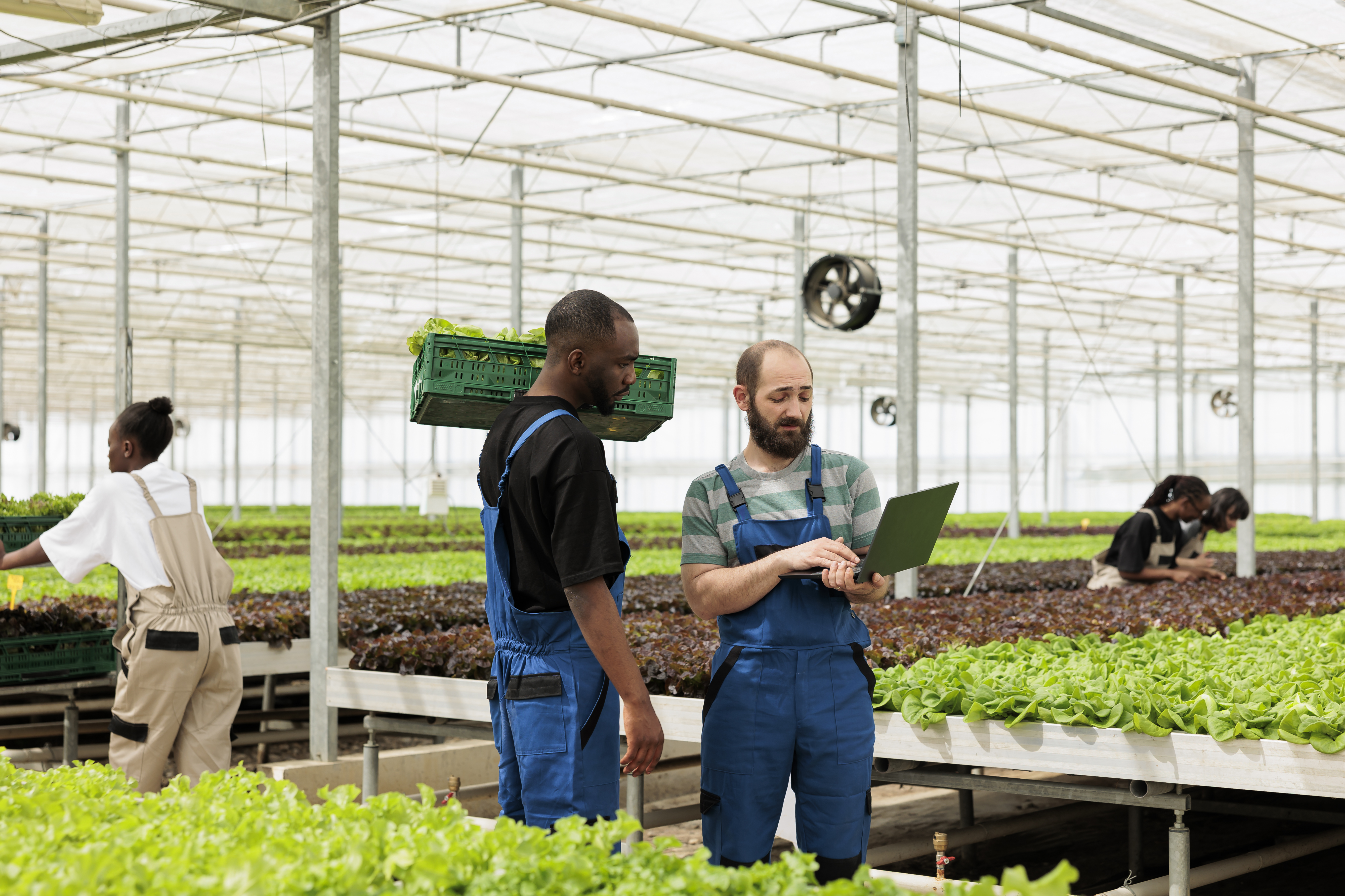 Branch Management Feature